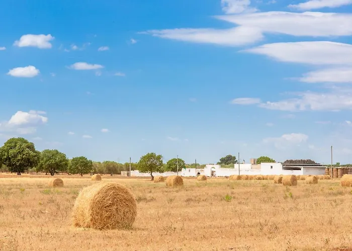 Trullo Zese Con Piscina Privata